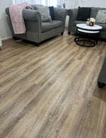 Hybrid 4415 - Salem Oak Hybrid 4415 - Salem Oak