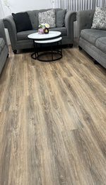 Hybrid 4415 - Salem Oak Hybrid 4415 - Salem Oak