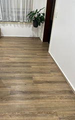 Hybrid 4415 - Salem Oak Hybrid 4415 - Salem Oak