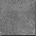 BLUESTONE CAT PAW 600x600mm x 20mm BLUESTONE CAT PAW 600x600mm x 20mm