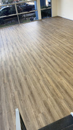 Hybrid 4415 - Salem Oak Hybrid 4415 - Salem Oak