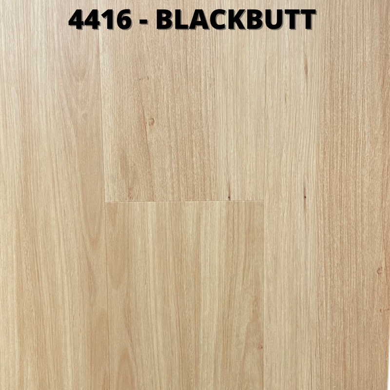 4416 - Blackbutt