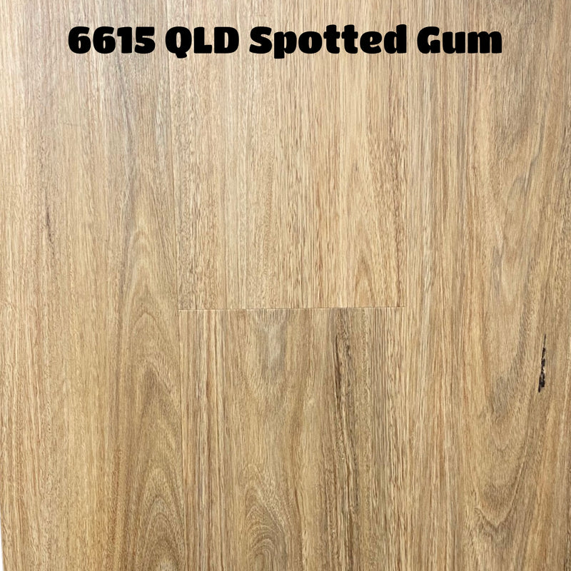 qld spotted gum 6615