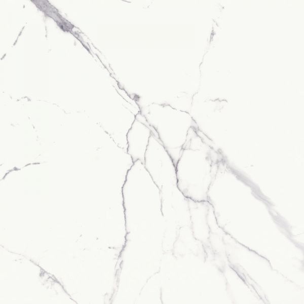 Statuario Bianco Polished 600x600mm – Northern TILE Distributors